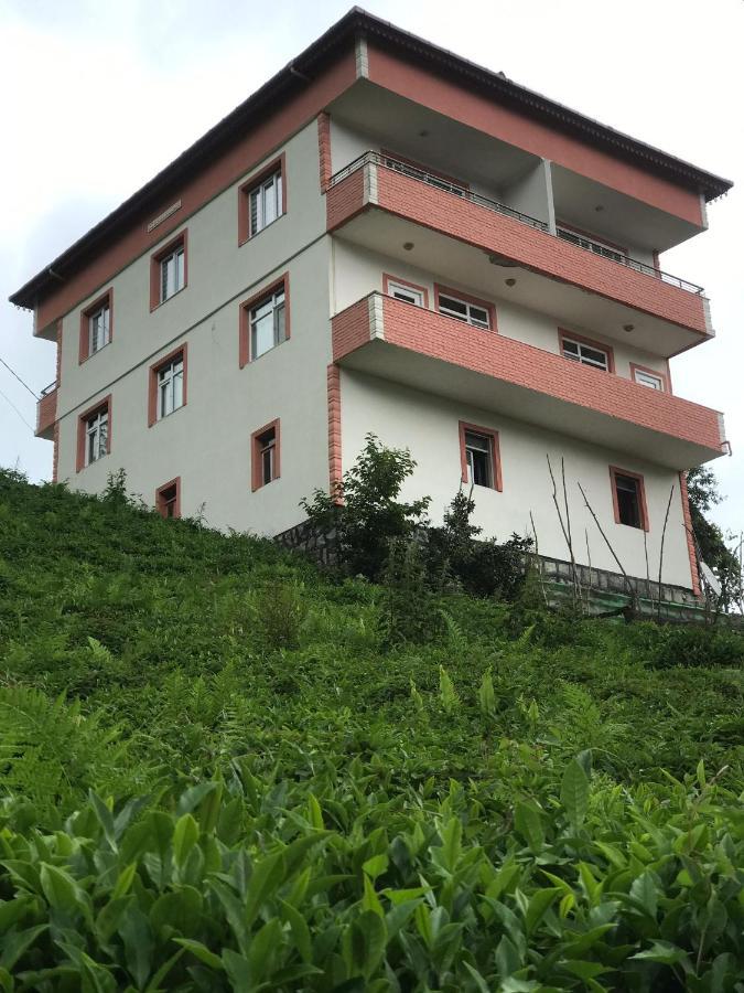 Apartment Dereli Delux Rize